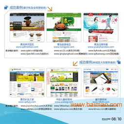 城陽網(wǎng)站建設(shè)指南 選擇青島迅諾網(wǎng)絡(luò)，打造專業(yè)線上平臺(tái)